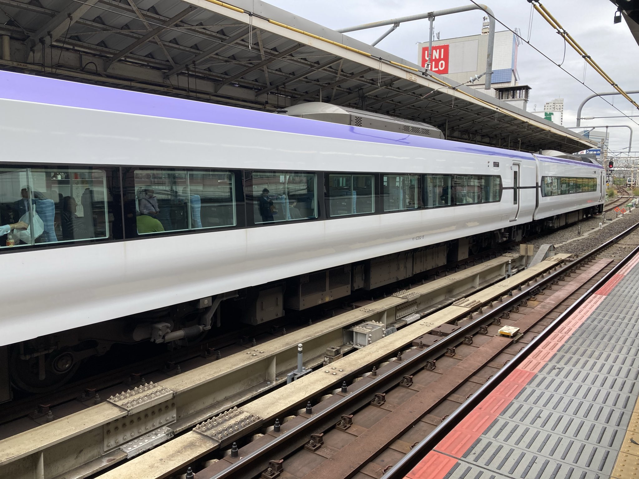 パンダ リアル ラスト OUTLINE】パンダ& ''逆'' パンダ入荷中☆｜チックタック