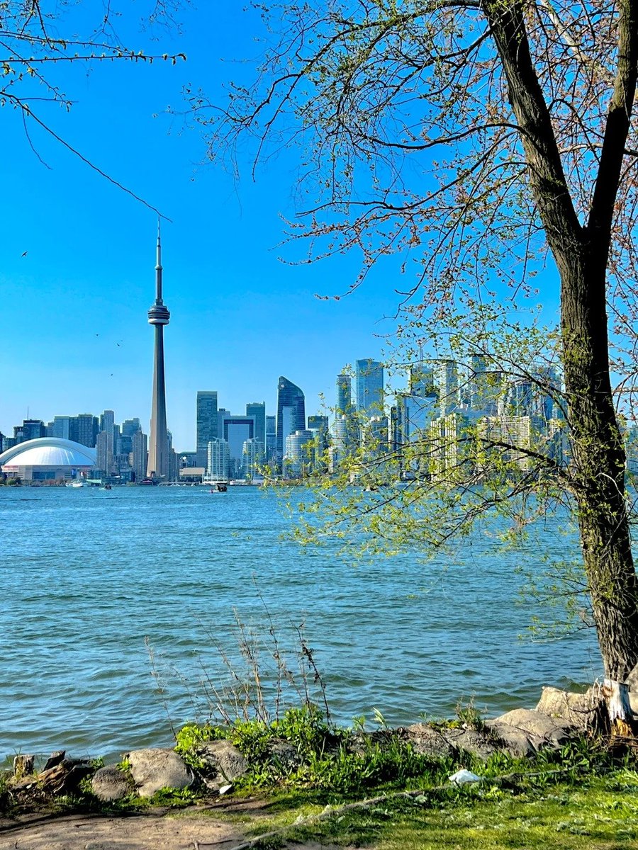 Beautiful blue skies over Toronto 🇨🇦 The CN Tower shining bright beside the lake 🌊💙 Every corner here points to adventure and endless memories