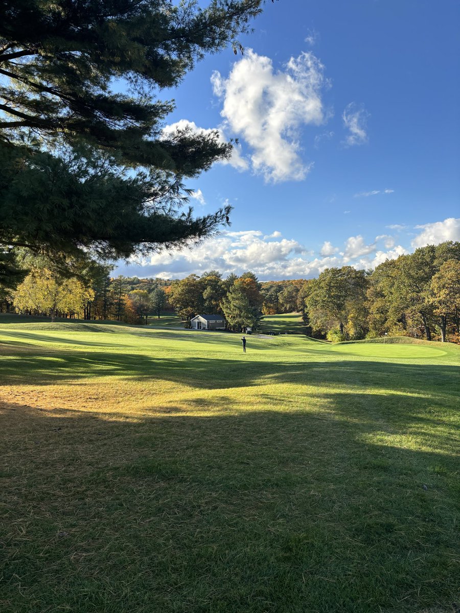 Moira McCarthy tweet media