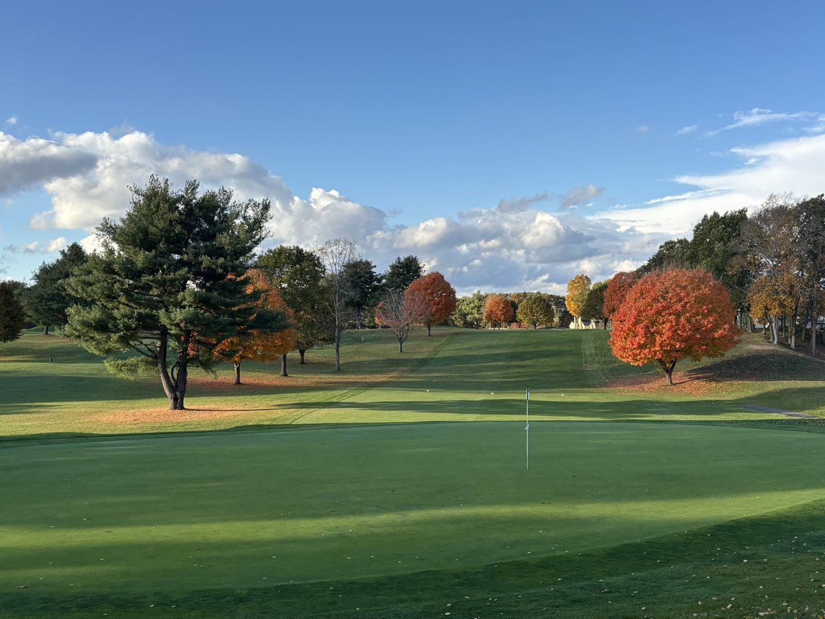 Moira McCarthy tweet media