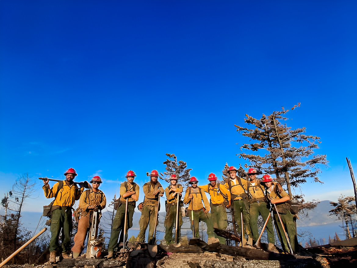 Grayback Forestry tweet media