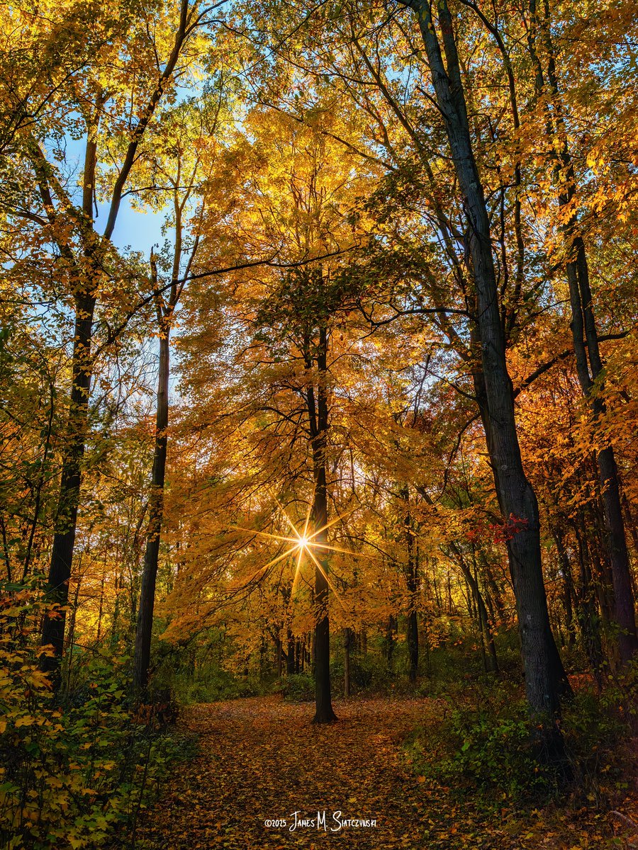 James Siatczynski (@jsiatczy) on Twitter photo Kensington Metropark, Milford, MI
<a href="/PureMichigan/">Pure Michigan</a> <a href="/MIMetroparks/">Metroparks</a> <a href="/OakGov/">Oakland County</a> <a href="/LivCoGov/">Livingston County</a> #kensingtonmetropark Kensington Metropark, Milford, MI
<a href="/PureMichigan/">Pure Michigan</a> <a href="/MIMetroparks/">Metroparks</a> <a href="/OakGov/">Oakland County</a> <a href="/LivCoGov/">Livingston County</a> #kensingtonmetropark
