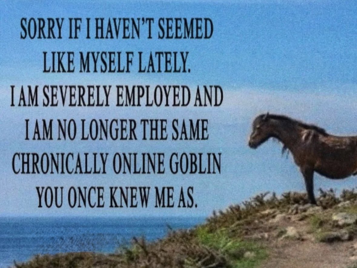 RespectfulMemes's tweet image. 