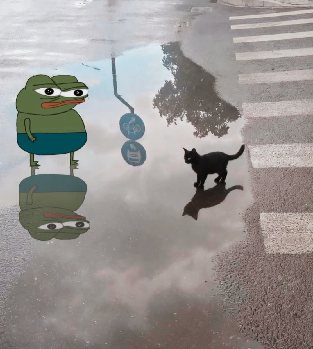 cozyfren9k's tweet image. I just like $apu is all
