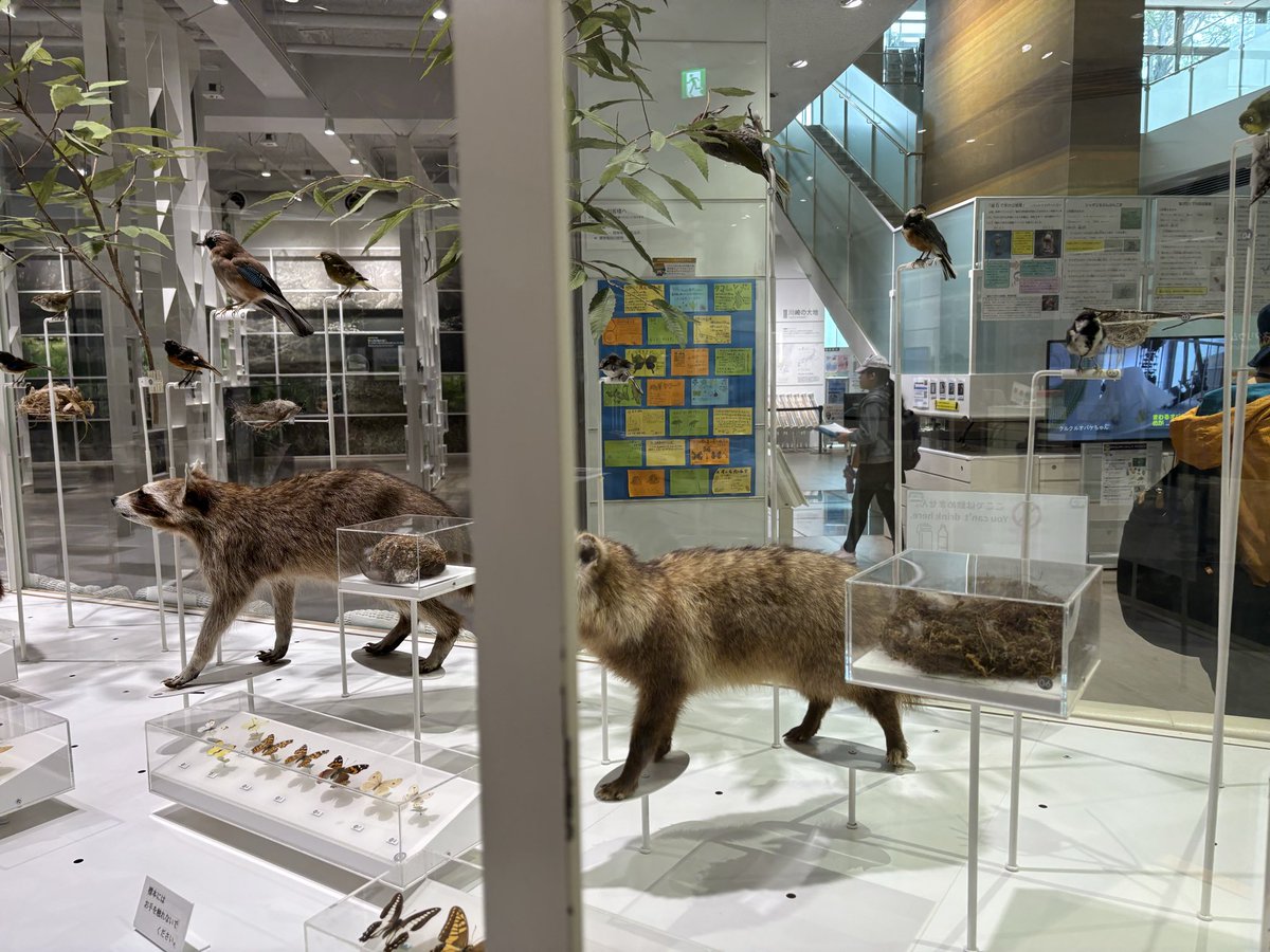 かめにゃん (@kamenyan4649) / Posts / X