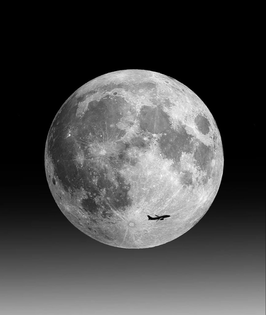 minimalism's tweet image. Less is more. Nature’s beauty, untouched.

minimalism.com