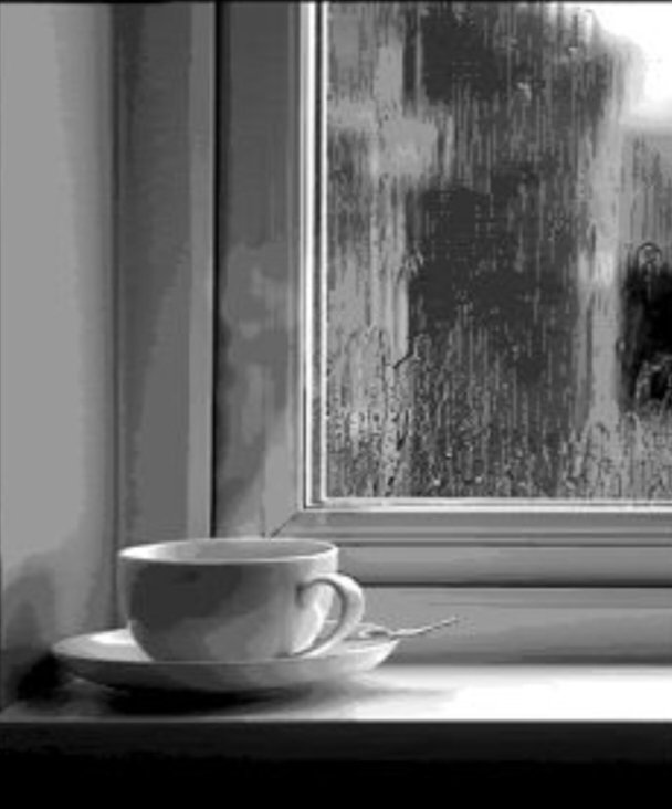 Si la lluvia habla, 
trae tu voz escondida; 
lo se porque cada gota 
es un verso que mi corazón entiende 
y obedece...
#Buenosdias