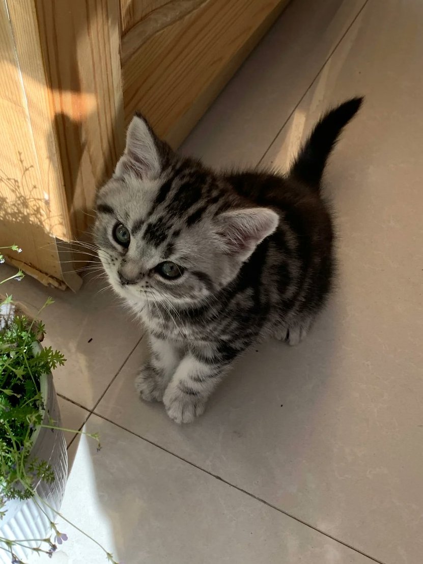 Adelaide_zxcv's tweet image. The beauty of life is not far away, it’s in this very moment. 🌿