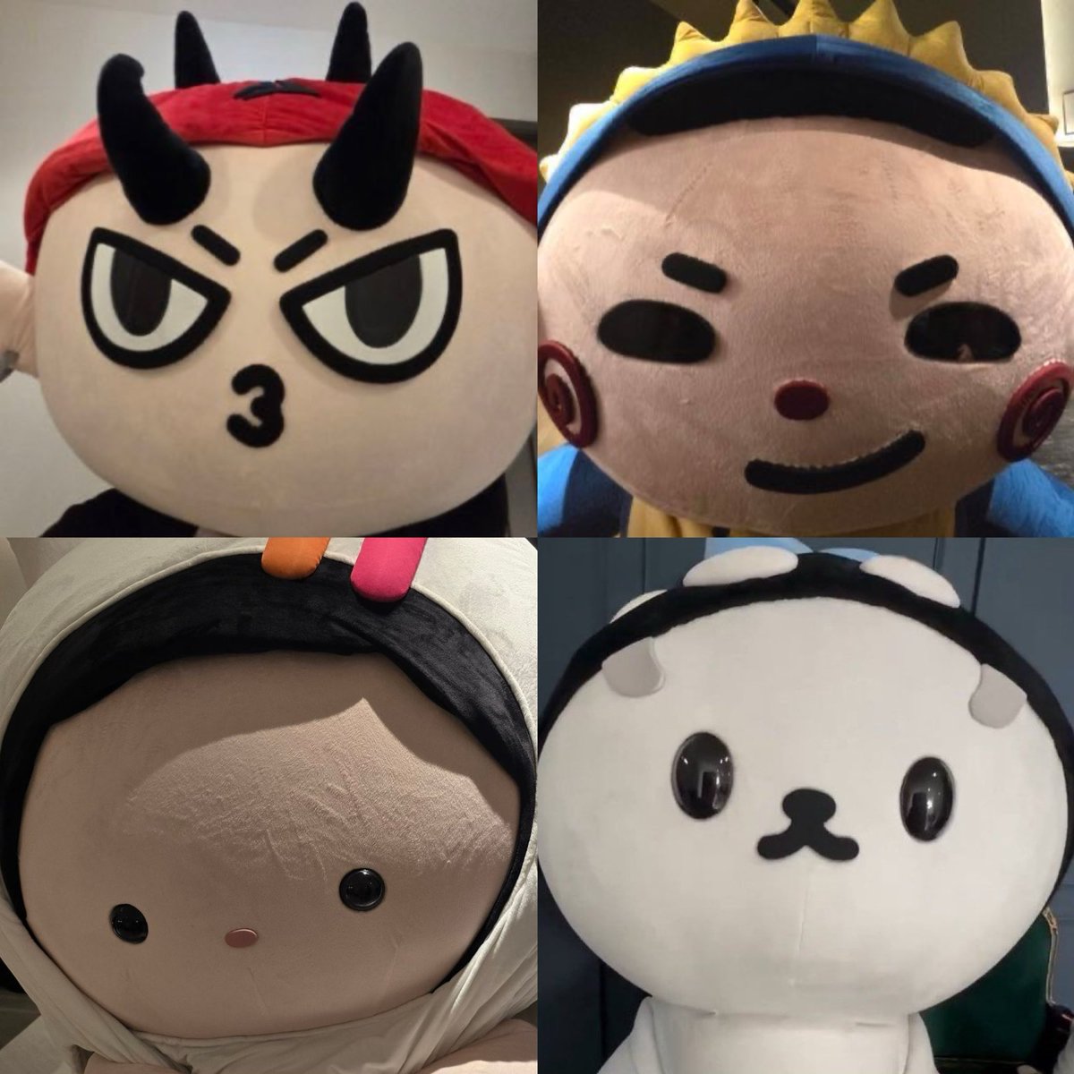55555555555555555554445455555555555