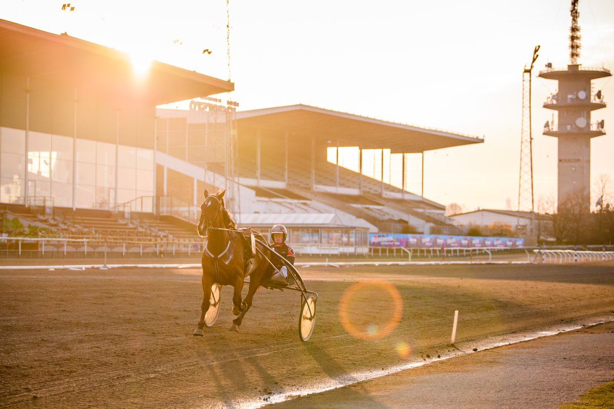 Jackpotfest på Jägersro på lördag, men vi laddar upp på "Jägers" redan idag med lunchtrav. Snoken är på skrälljakt i V4-4. 3 G.R.TORSO nämner jag som potentiell skräll, hästen är kvick ut och väl bortglömd. Köp V4-tipset för endast 39 kr på snoken.se 🤩