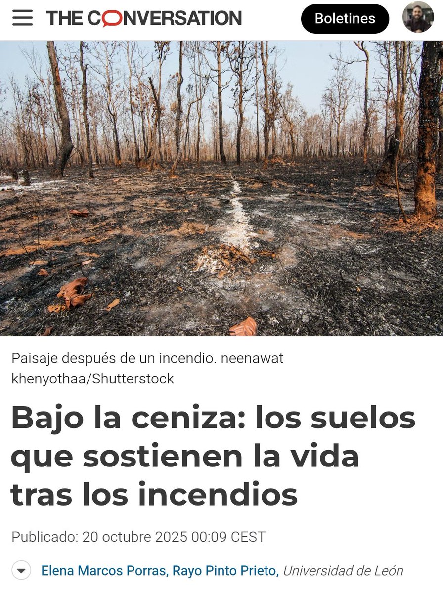 rayo tweet media