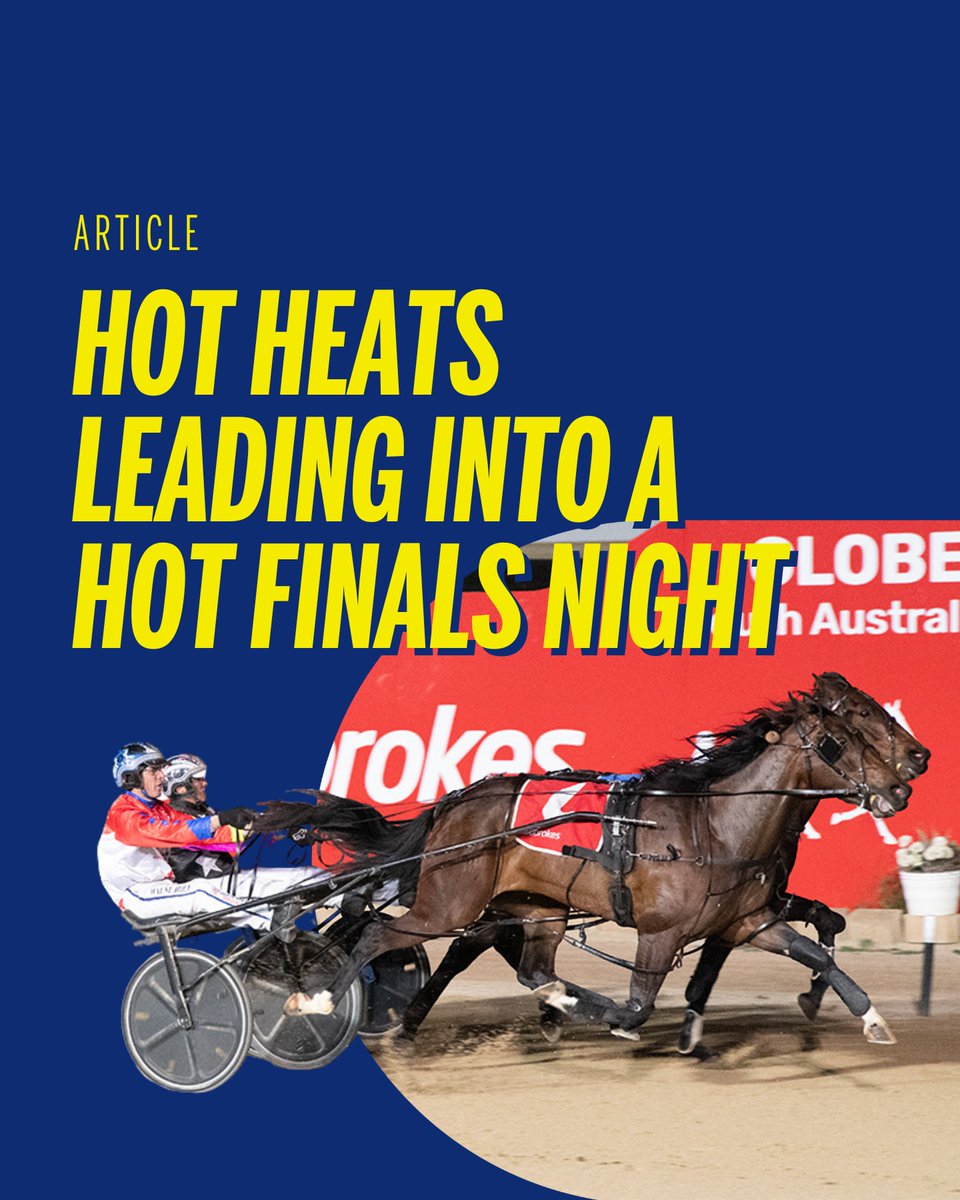 Harness Racing SA tweet media