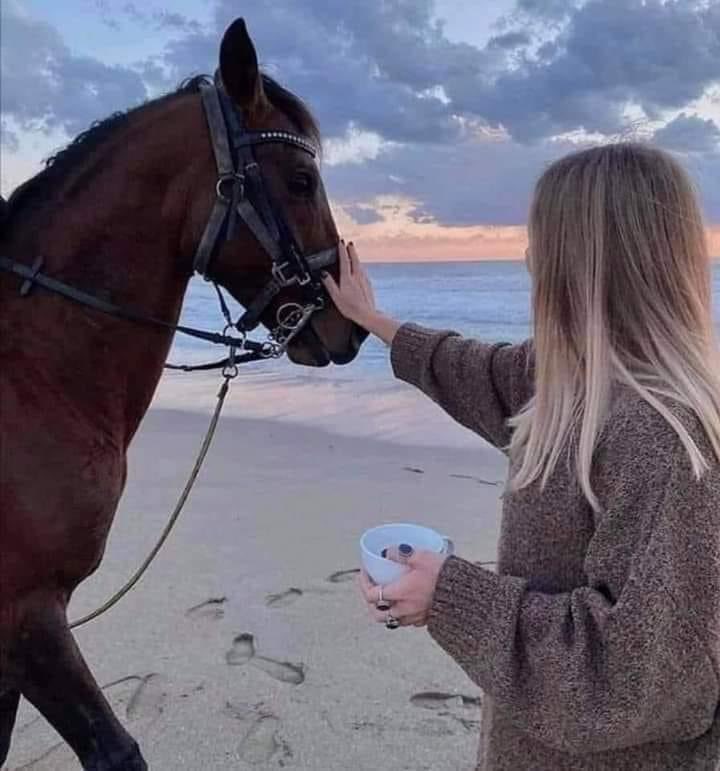 🅐 🤍🕊️…

••

نسئـــلگ يا الله حيـــاه خفيفــه 
على قلوبنـــا و أياما حنــونه مليئــه 
بالســتر والرضـــا ـــ❥❥•·

#صباح_الخير_والسعاده_للجميع