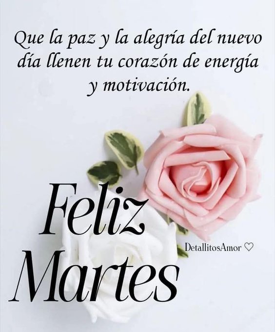 Pink and white roses with green leaves arranged on a white background overlaid with black Spanish text reading Que la paz y la alegria del nuevo dia llenen tu corazon de energia y motivacion Feliz Martes and Detalles amor with a heart symbol at the bottom