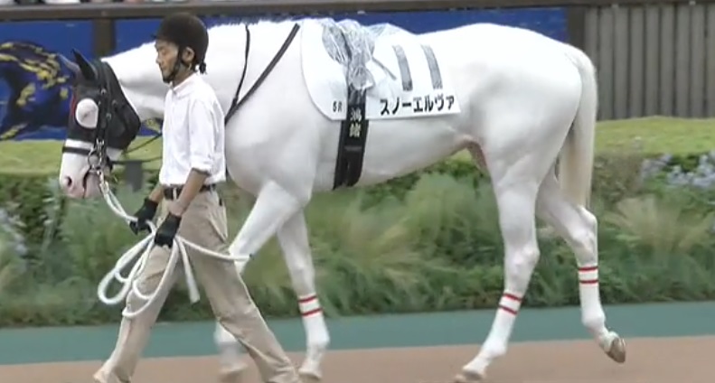 競馬ライターはしくれ on X