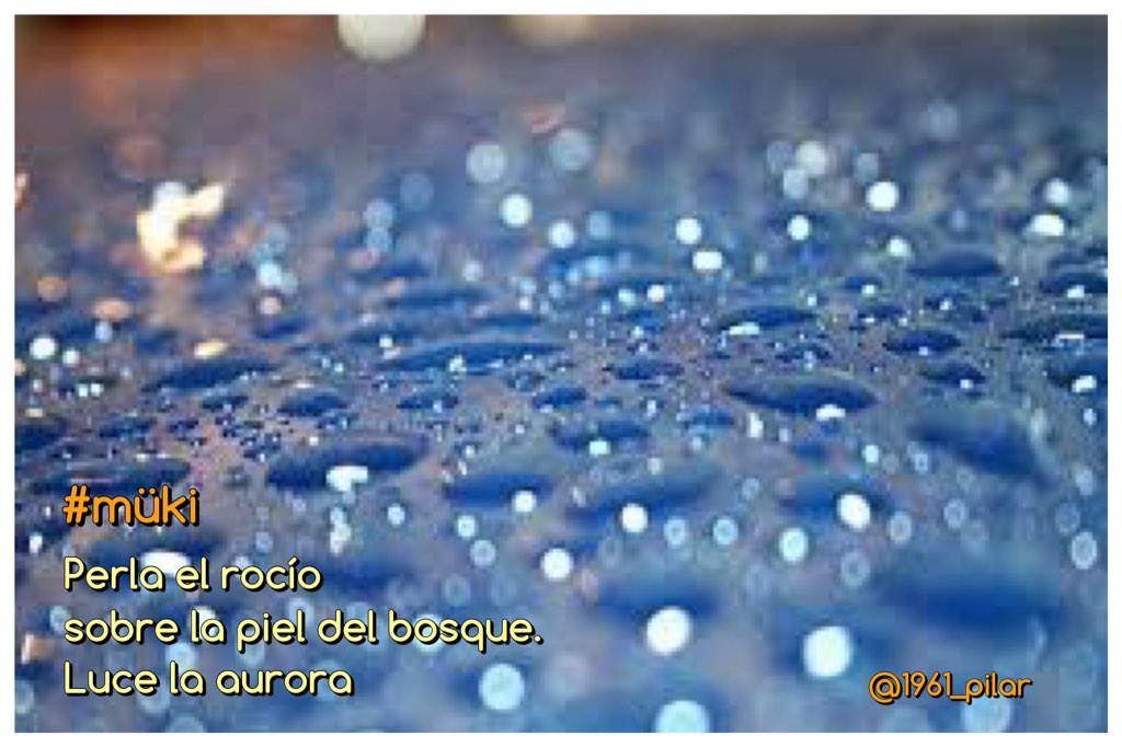 Un nuevo amanecer ¡Buenos días!

Perla el rocío...

~müki~

#LYF15  #VAFlorDePiel