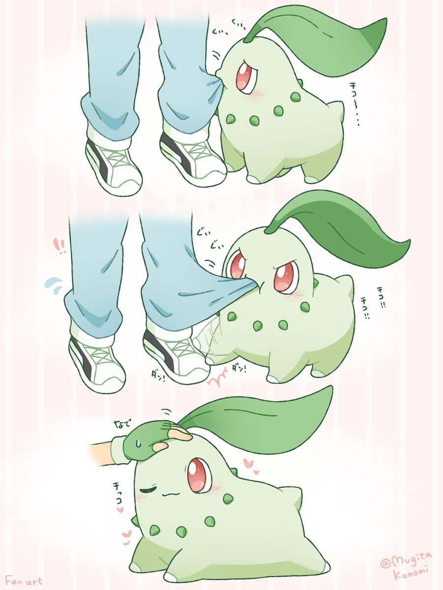 麦田このみ🎀イラストレーター (@mugita_konomi) on Twitter photo かまってちゃんが過ぎるチコリータ🌿 かまってちゃんが過ぎるチコリータ🌿