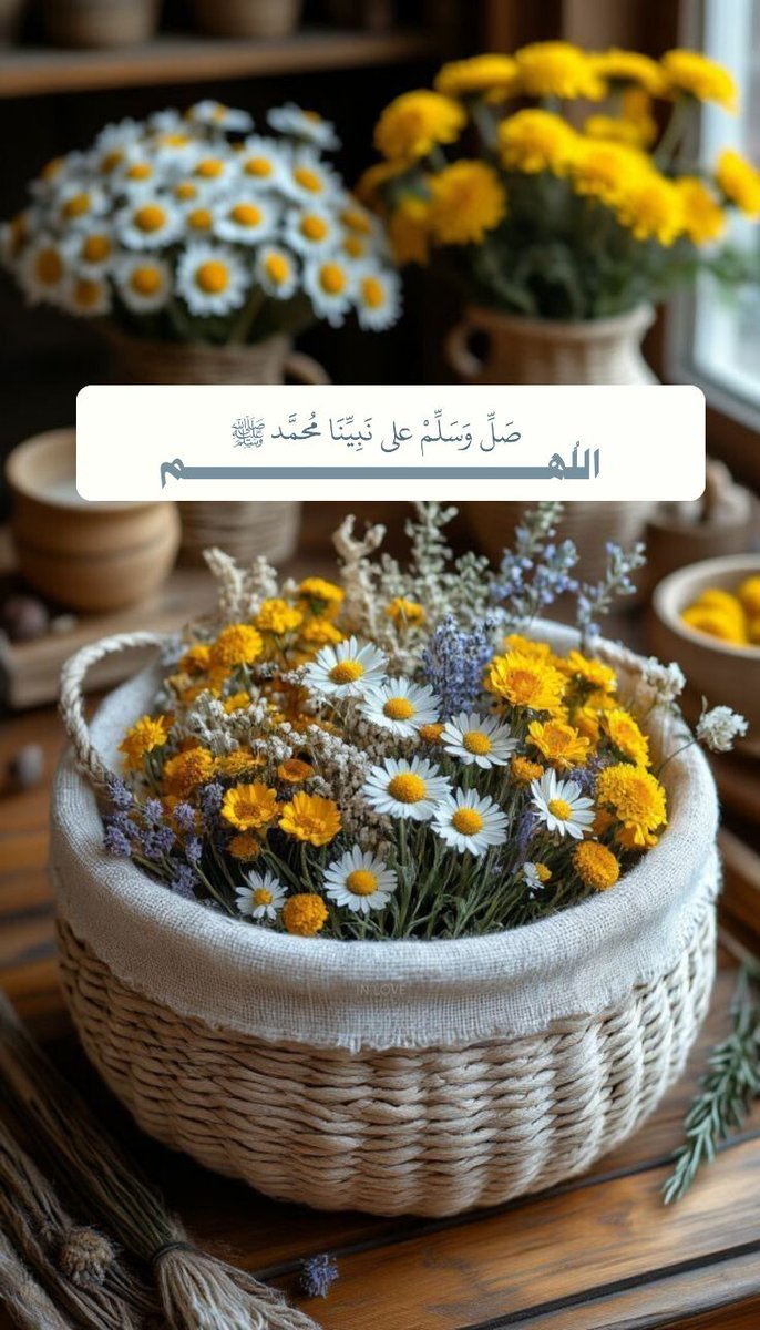 Mahfil_E_Durood's tweet photo. https://t.co/OK69lyQ642