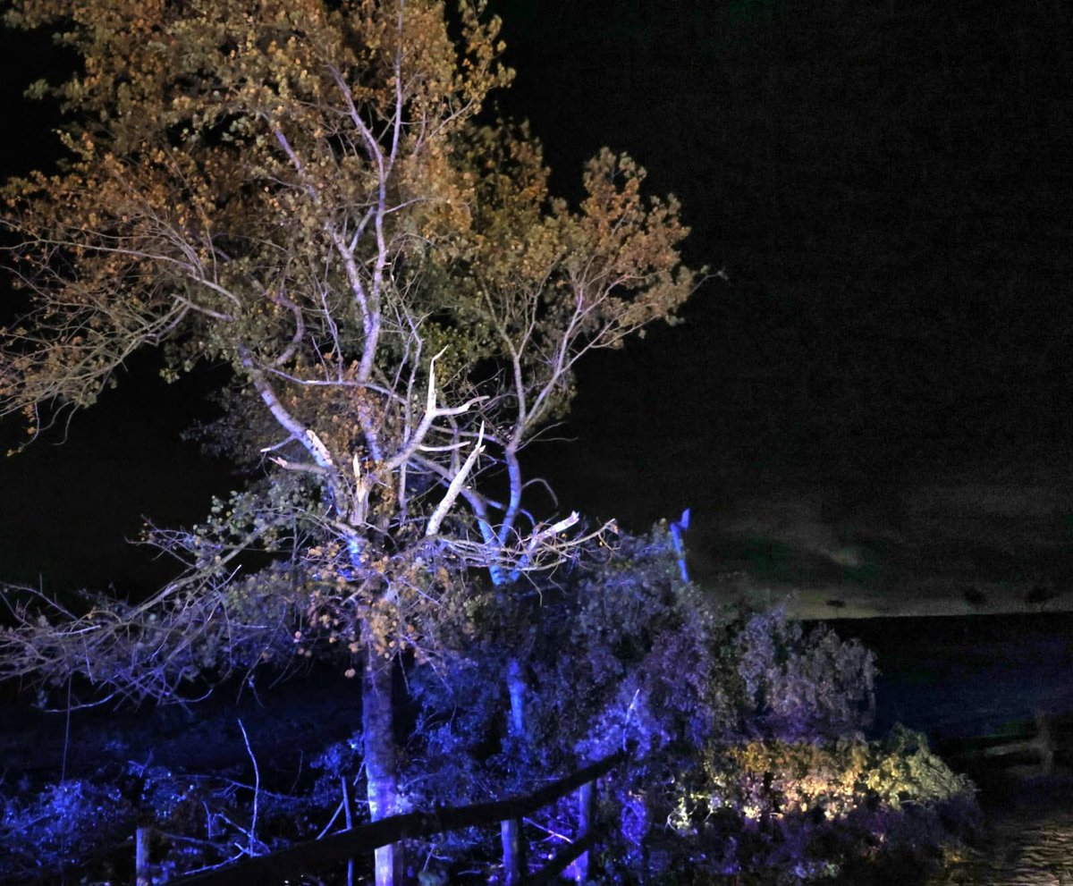 lerepu's tweet image. Toitures arrachées, arbres déracinés... Une tornade fait des dégâts à Chambley-Bussières 

➡️ c.republicain-lorrain.fr/faits-divers-j…