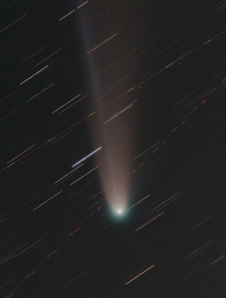 サピックス　2019年度 MIDマルカサービス ロードマックス KG-25 16インチ - レジアス