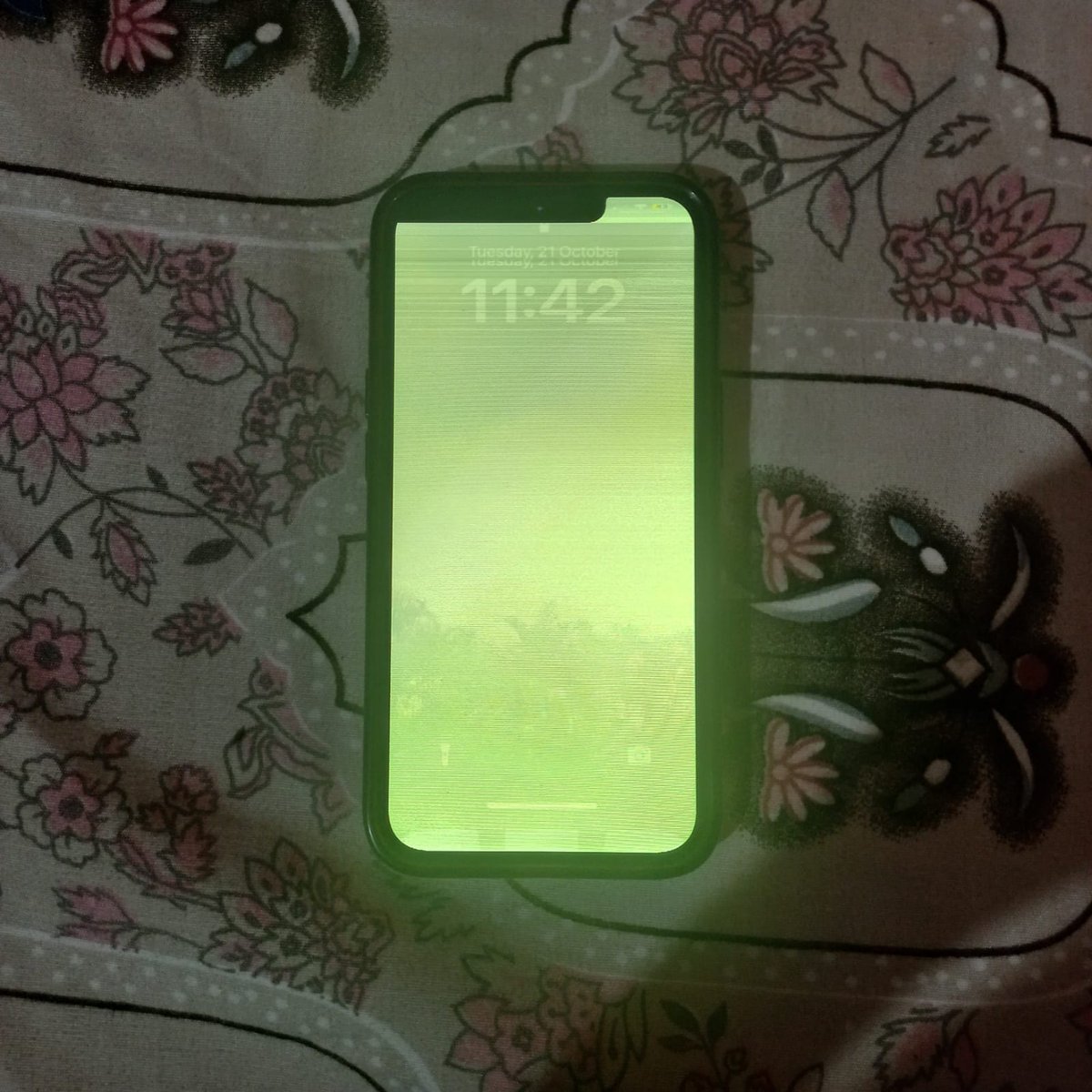 srushed1999's tweet image. @Apple @AppleSupport 
Case #102723915597: 
My iPhone developed pink &amp;amp; now green lines after an update, no physical damage. I was told a ₹25k paid repair is the only option. As a student, this is unfair. Please escalate &amp;amp; fix this under goodwill. #AppleSupport #iPhoneIssue