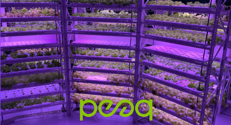 PeaqNetworkES's tweet photo. .

🧵 La primera granja robótica tokenizada del mundo se lanza en @peaq  🌱🤖

🚀 Una alianza entre @KanayaAI, @DualMint y @peaqnetwork da vida a la primera granja vertical semiautónoma optimizada por IA y tokenizada en la blockchain de peaq. https://t.co/kZ8NEkm5RJ