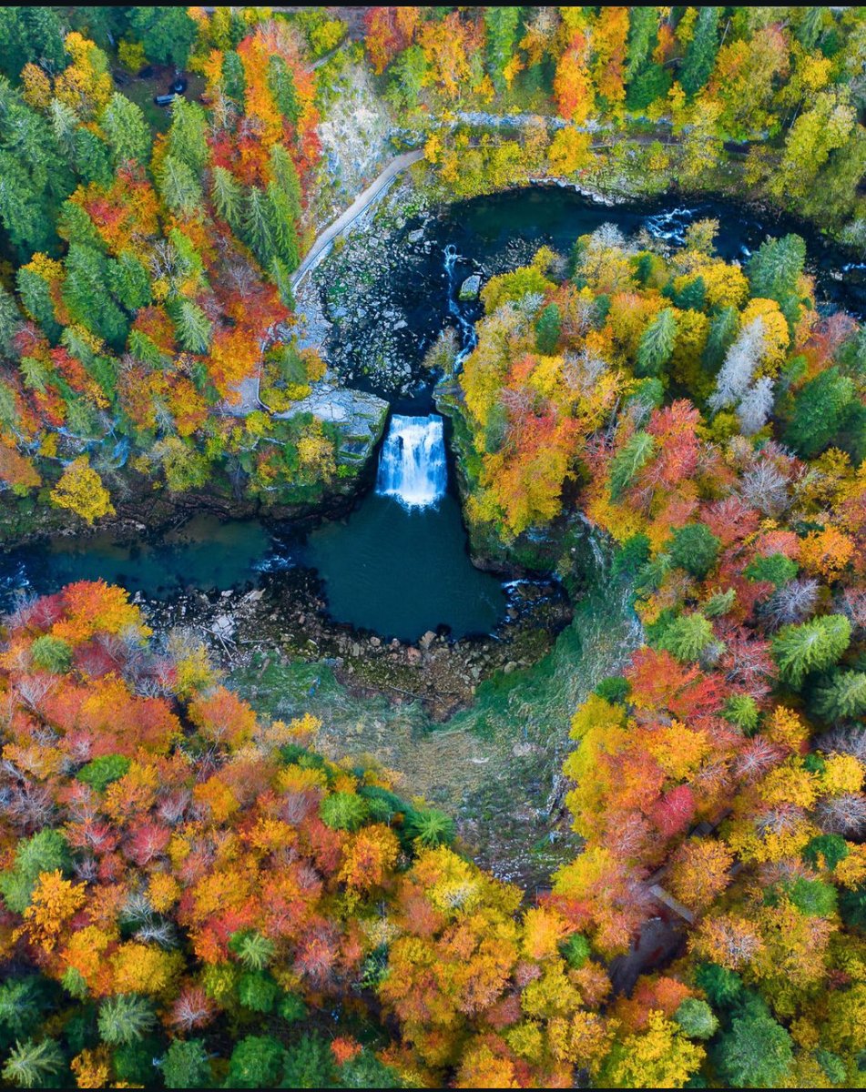 Pas besoin d’aller au Québec pour être dépaysé… bienvenue en Franche-Comté ! 🇫🇷🍂🍁