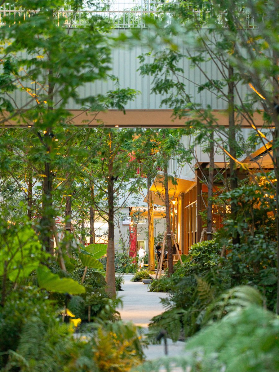 meetinshanghai's tweet image. #tourguide 🌆☕ Discover Shanghai’s most stylish urban districts — where heritage meets innovation and every turn reveals a new vibe. From riverside creativity to historic charm, here are five must-visit spots that capture the city’s trendsetting spirit:
🏭 Gate M West Bund Dream