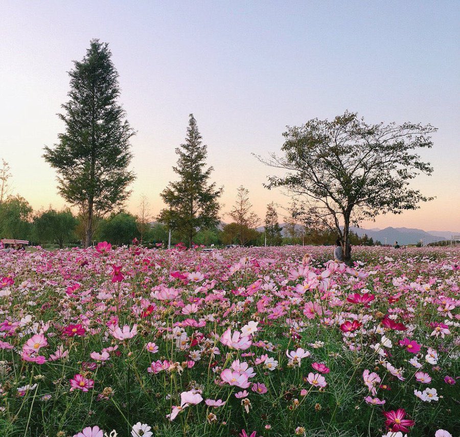 وجدت في الخيال مشاهد جميلة، كنت أرجو أن أعيشها معكِ !
تماديت في خيالاتي ونسيت بأن أقدارنا لسنا من يكتب أحداثها، وأن علينا أن نقبل بقدرٍ لا يجمعنا،
ولكن لأباس بقليل من الاحلام، فلولاها لماتت عقولنا اختناقا بما يفعل بنا واقعنا،
فبت أردد : ولنا في الخيال حياة !

#فيض_الوادي