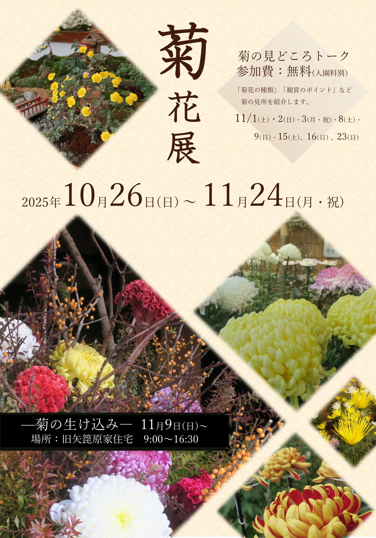 菊花石　★春の祭典フェア価格 菊花石 ☆春の祭典フェア価格 ◇セール！赤倉山産／朱色菊花石－台座
