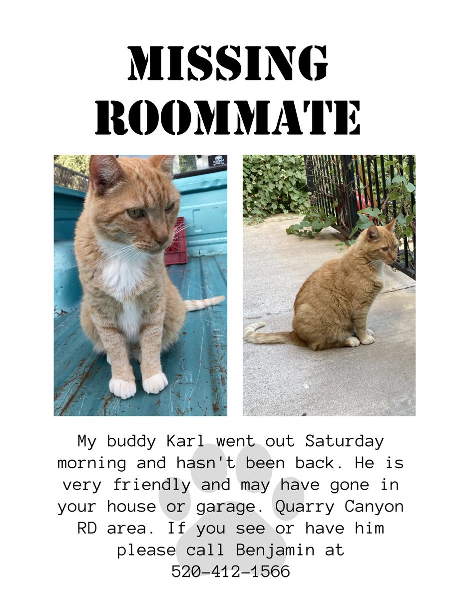 <a href="/JortsTheCat/">Jorts (and Jean)</a> <a href="/OneNerdyOpinion/">Matt Ramsey</a> I lost my "Jorts" a week and a half ago. Please share.