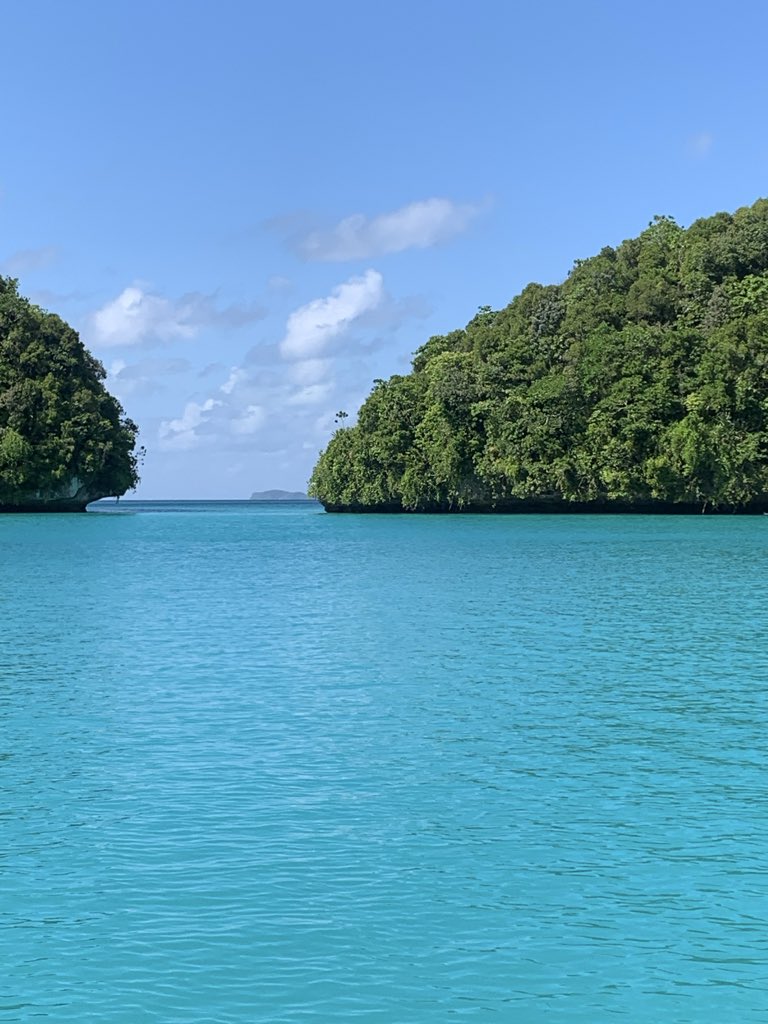 Palau, you beauty — every wave, every breeze, every smile leaves me breathless. I’m speechless, and I don’t even mind 💫
