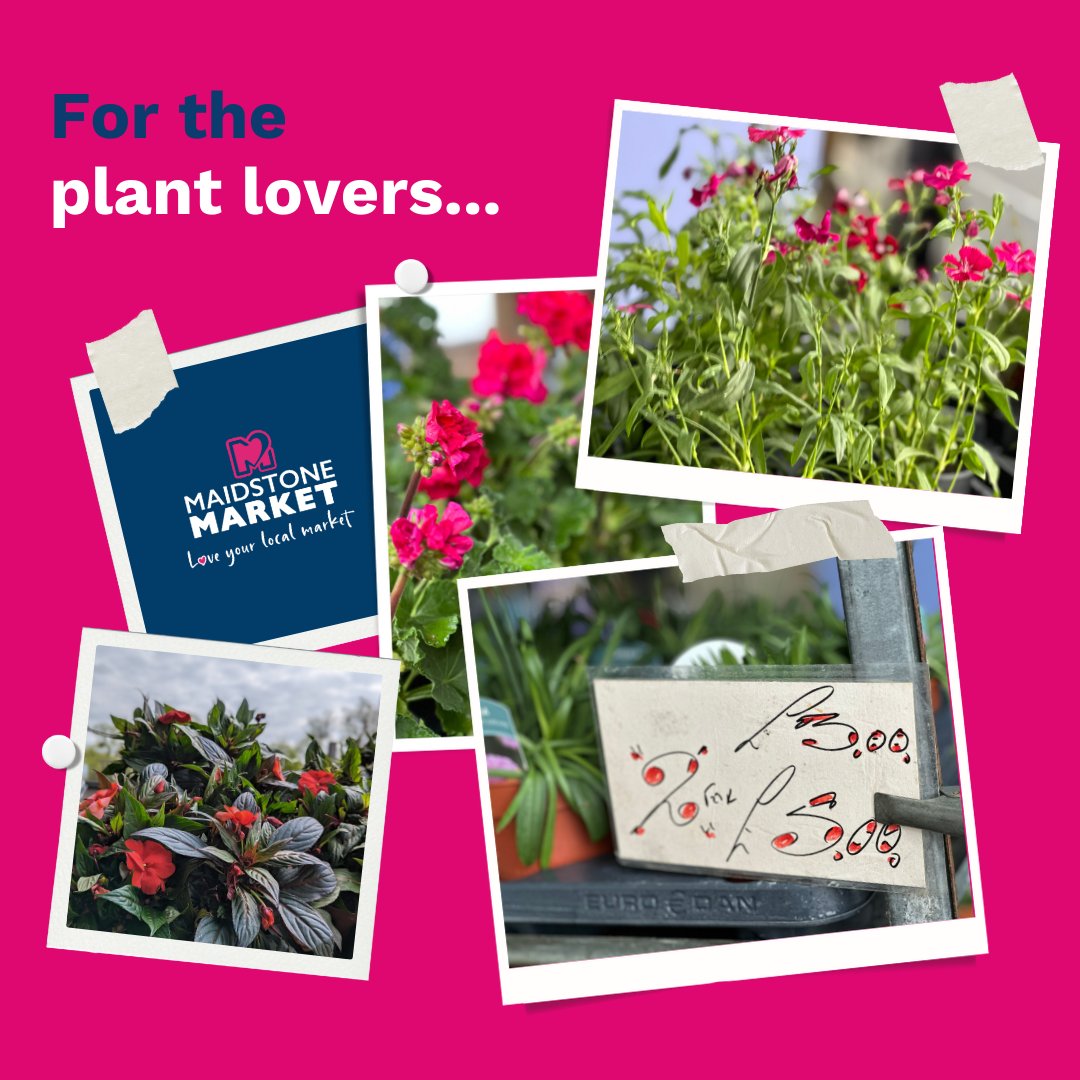 Maidstone Market tweet media