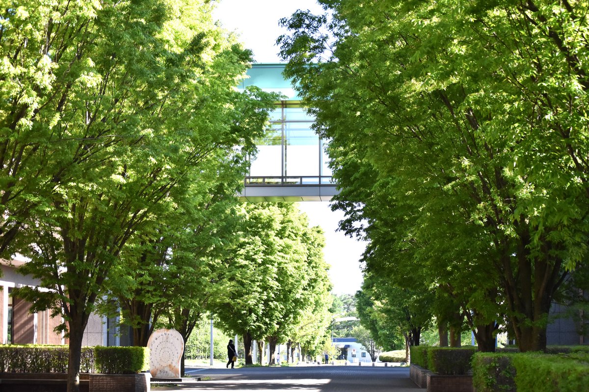Iwate_puPR's tweet photo. 申し訳ないんですが
本学の四季折々の美しさは
バズっていいと思います！

#岩手県立大学 https://t.co/FMbjCEWZzJ