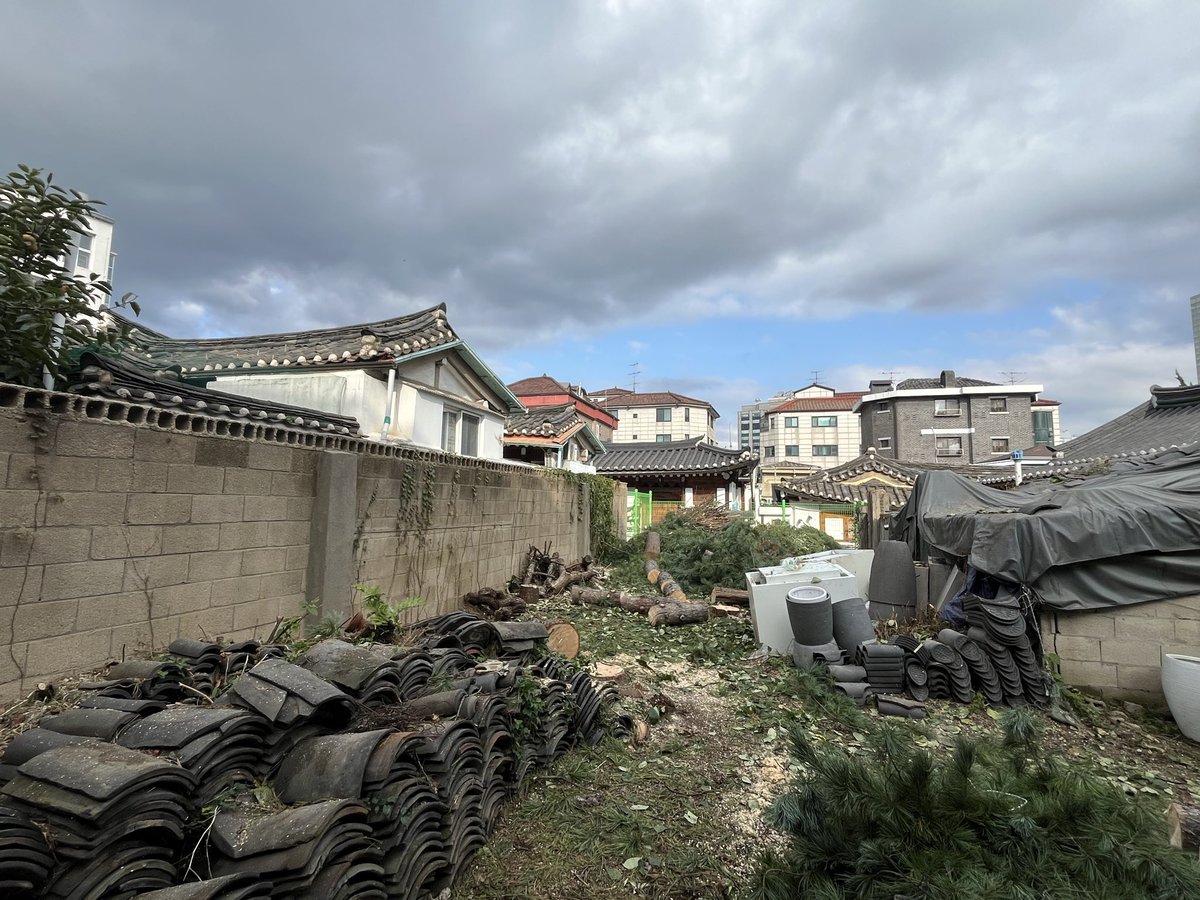 solmirfather's tweet image. 어제(10/20,월) 작업은 
아마도🤔 서울 도심 가장 한복판 까지 진출 ..
워낙 구도심 인데다 건물 뒷편인지라 아무리 돌아봐도 “장비”가 진입할 수 없어, 우리 #수목관리인(#Arborist)을 부른 듯 😎 
암튼 좁은 주택가 #위험목 여럿 전지와 리깅후 벌채 🤐
#서울공예박물관(서울.종로.안국동)
#공예별당