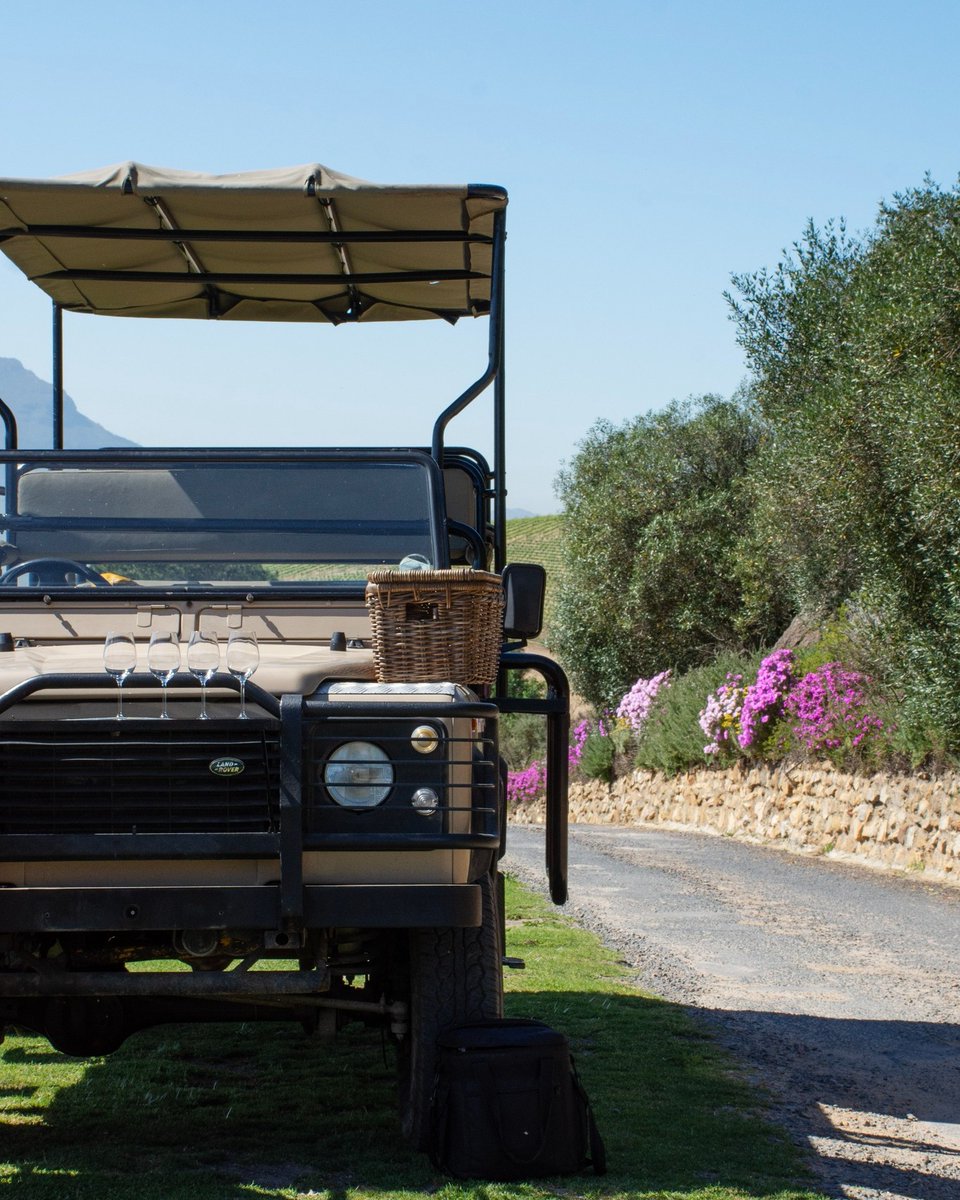 Jordan_Wines's tweet photo. Wine, views, and adventure - all in one! 🍷
Join our safari-style vineyard tour, taste wines among the vines, and explore the hidden beauty of the Cape Winelands.
Book now: https://t.co/cwBpyncnMx | reservations@jordanwines
#premiumatplay https://t.co/4O08X2fz45