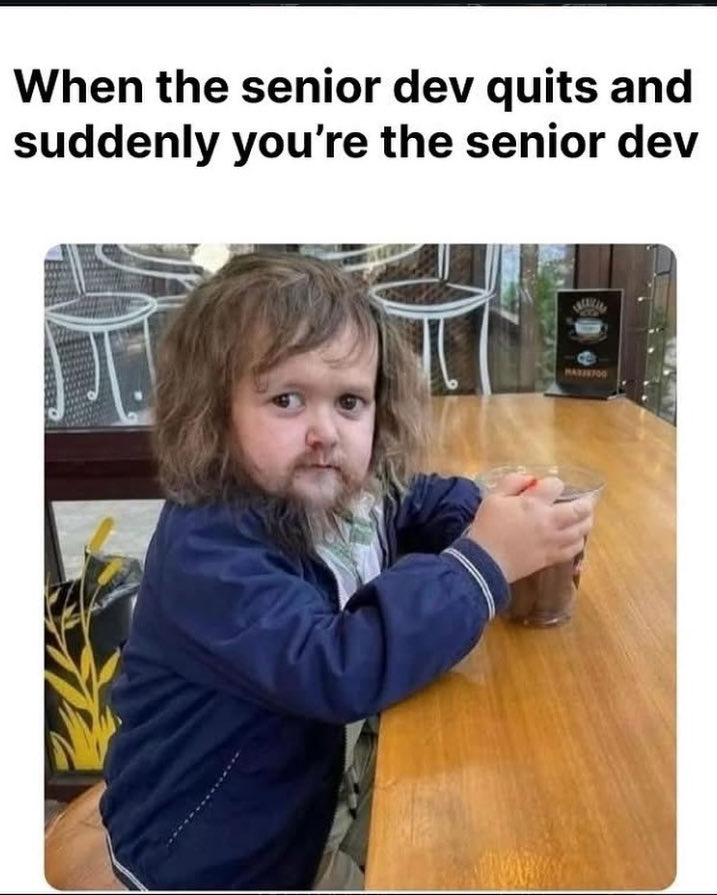 Bazal_Amjad's tweet image. When the senior dev quits and suddenly you’re the “experienced one.”
Guess who’s been promoted… to panic mode. 😅👨💻
#ProgrammerHumor #CodingLife #DeveloperProblems #TechHumor #SoftwareEngineer #DevMemes #CodeLife #RelatableProgrammer
