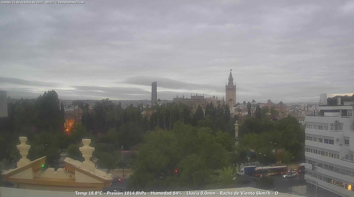 #Tiempo actual en #Sevilla
Buenos días. Hoy parcialmente a nuboso con posibilidad(10%)de lluvia. Cálido⛅️
Rachas de Viento Moderadas🌪️
Máxima alrededor de 27ºC🌡️
Ahora agradable con 18.9ºC, 0.4ºC más que ayer a esta hora⬆️
Fuerza y Ánimo👌