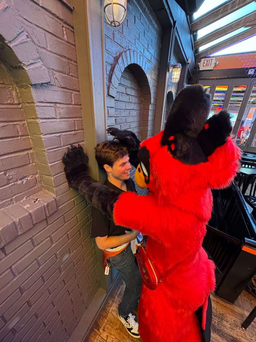 DC Fur Meet (DCFM) tweet media