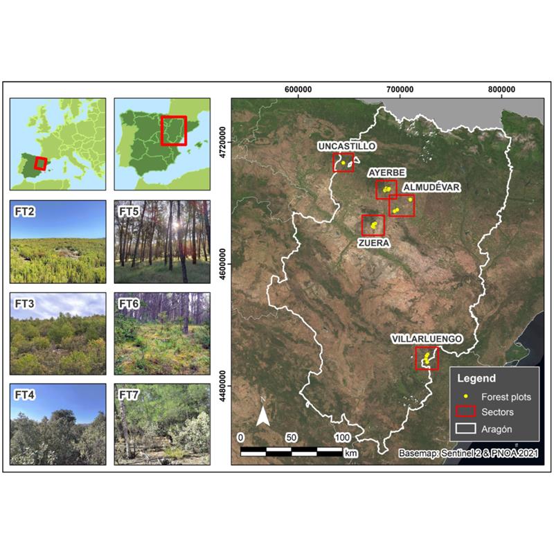 MDPIEnvironment's tweet image. #firemdpi 
🔥Evaluation of Handheld Mobile Laser Scanner Systems for the Definition of Fuel Types in Structurally Complex Mediterranean Forest Stands
 
👉brnw.ch/21wWo1E

#wildfires #fuel_heterogeneity #HMLS #Prometheus_fuel_model #fire_modeling #voxels