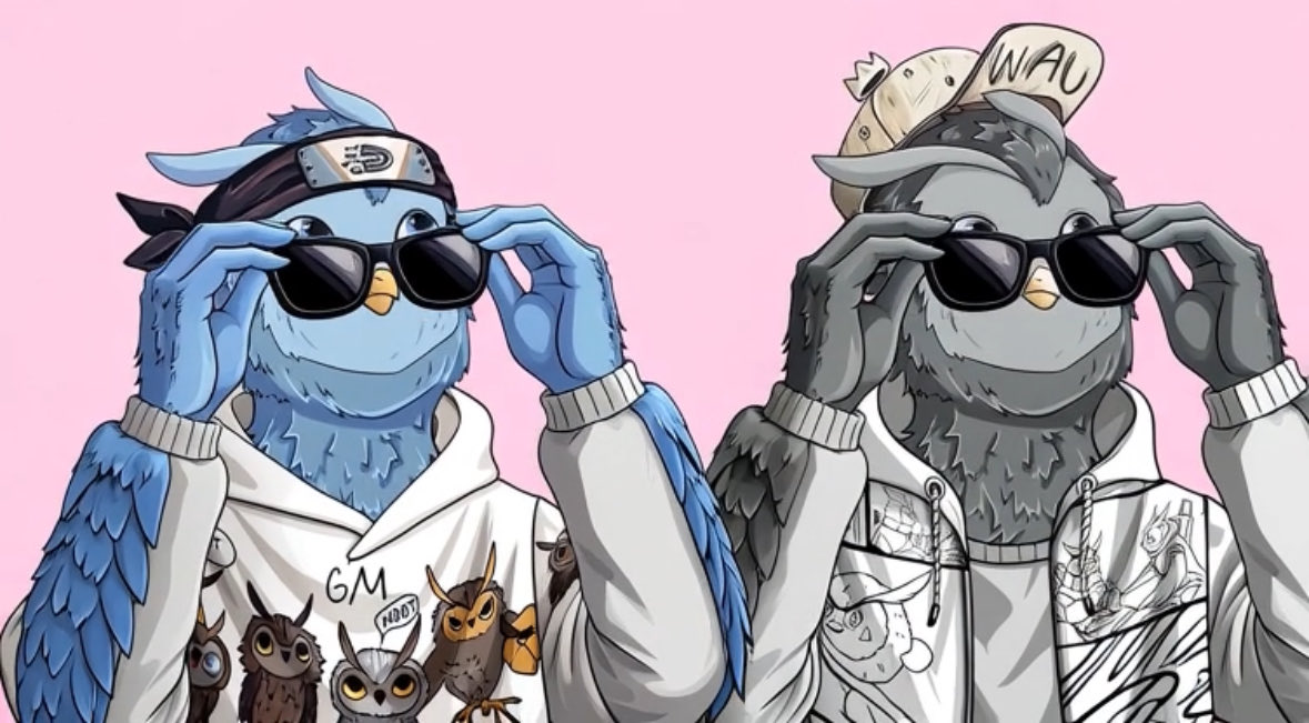 A new era for Owlies Hoot Haus awaits…