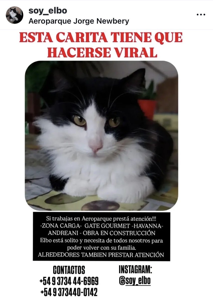 Perdido por los inútiles del Aeroparque…