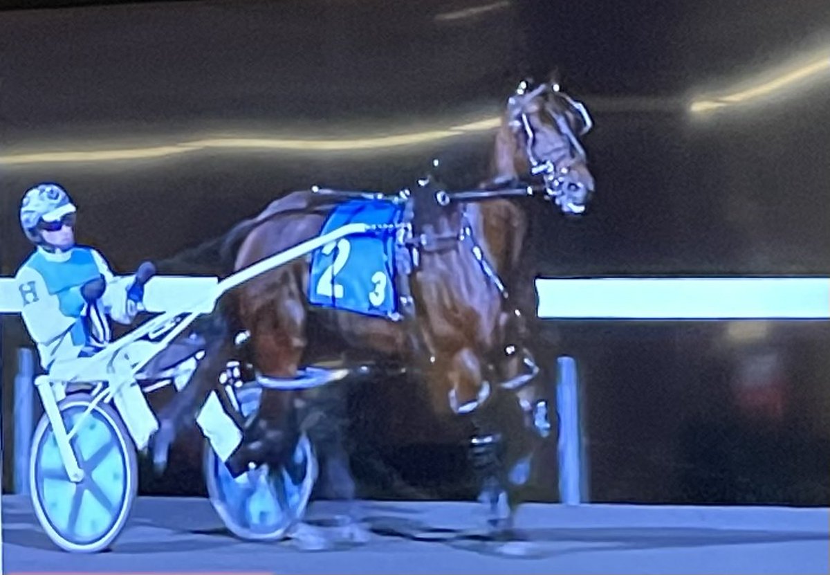 LusiAndAlbert's tweet photo. MAGICAL ARTHUR finishes second at Mohawk Park with Travis Henry aboard. We’re beyond proud of Magical Arthur. A huge effort from Arthur, and a great job by Travis, Tony, Jim, and the Beaton Racing team. #MagicalArthur #horselover #LidoMagicArtspeakgelding #homebred https://t.co/j2wS4q6x6v