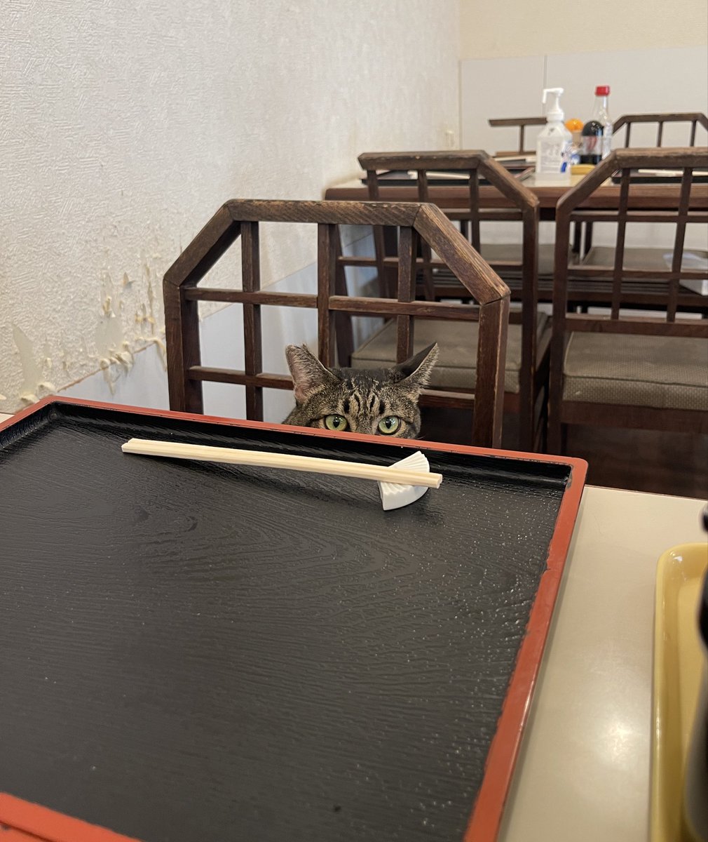 タケダマサヒロ tweet media