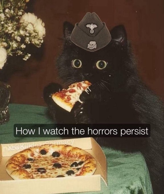 p4n4m4j4ck's tweet image. 