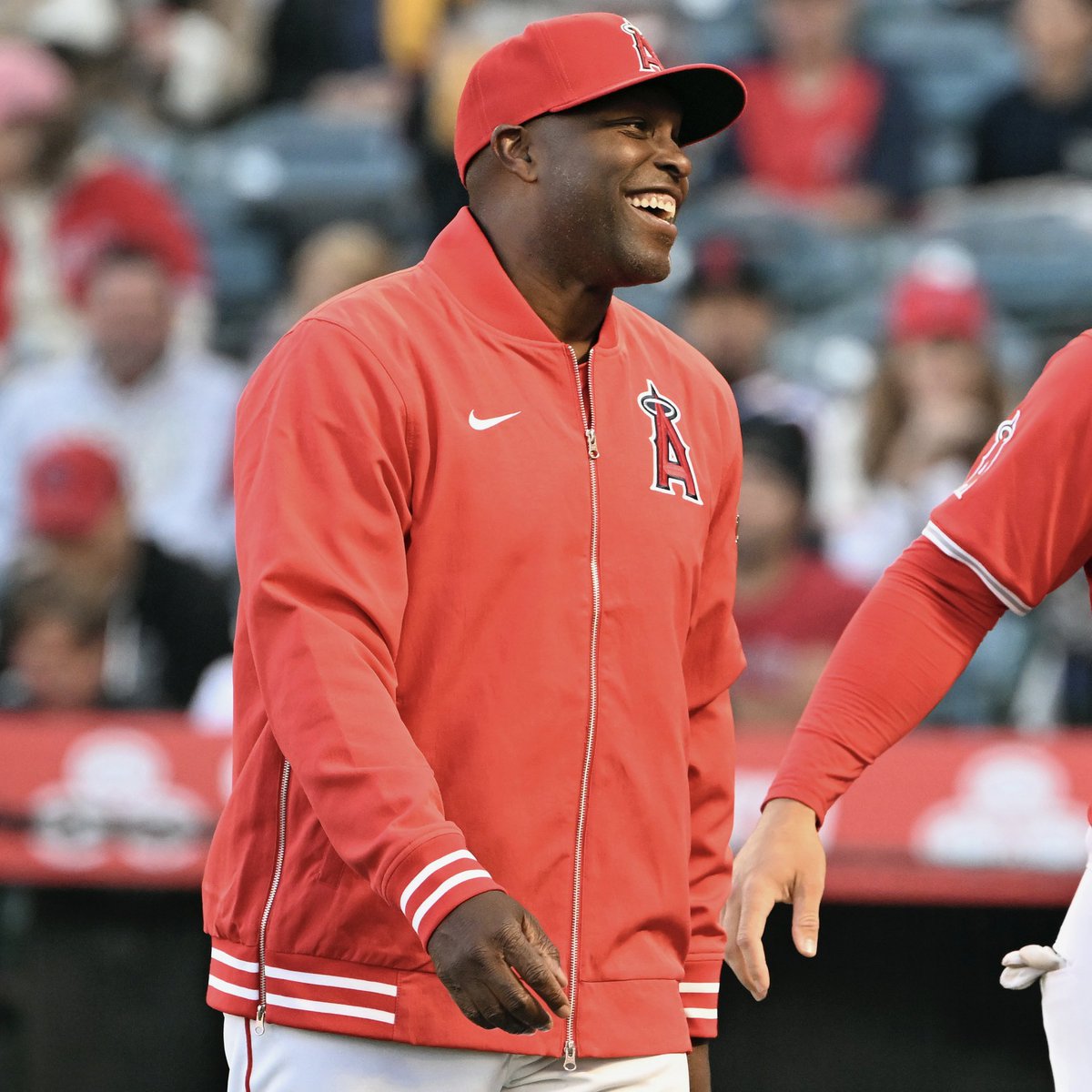 Talkin' Baseball tweet media