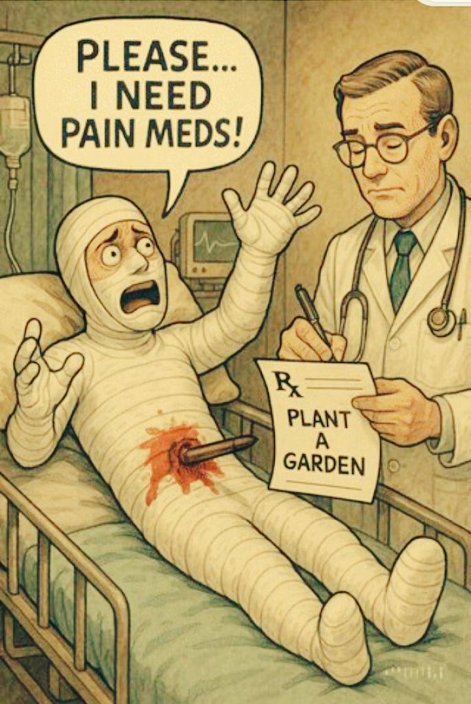 Chromedaffodils's tweet image. HOW ABOUT IT??

CAN TODAY BE THE DAY OUR TORTURE WILL END?!?
#CPP #ChronicPain

 💥😡👉 END the hyper stigmatization of full agonist opioids which SAVE LIVES
🥀🦋🌿🕊️ #PainCareCrisis
@RobertKennedyJr @HHSGov @CDCgov