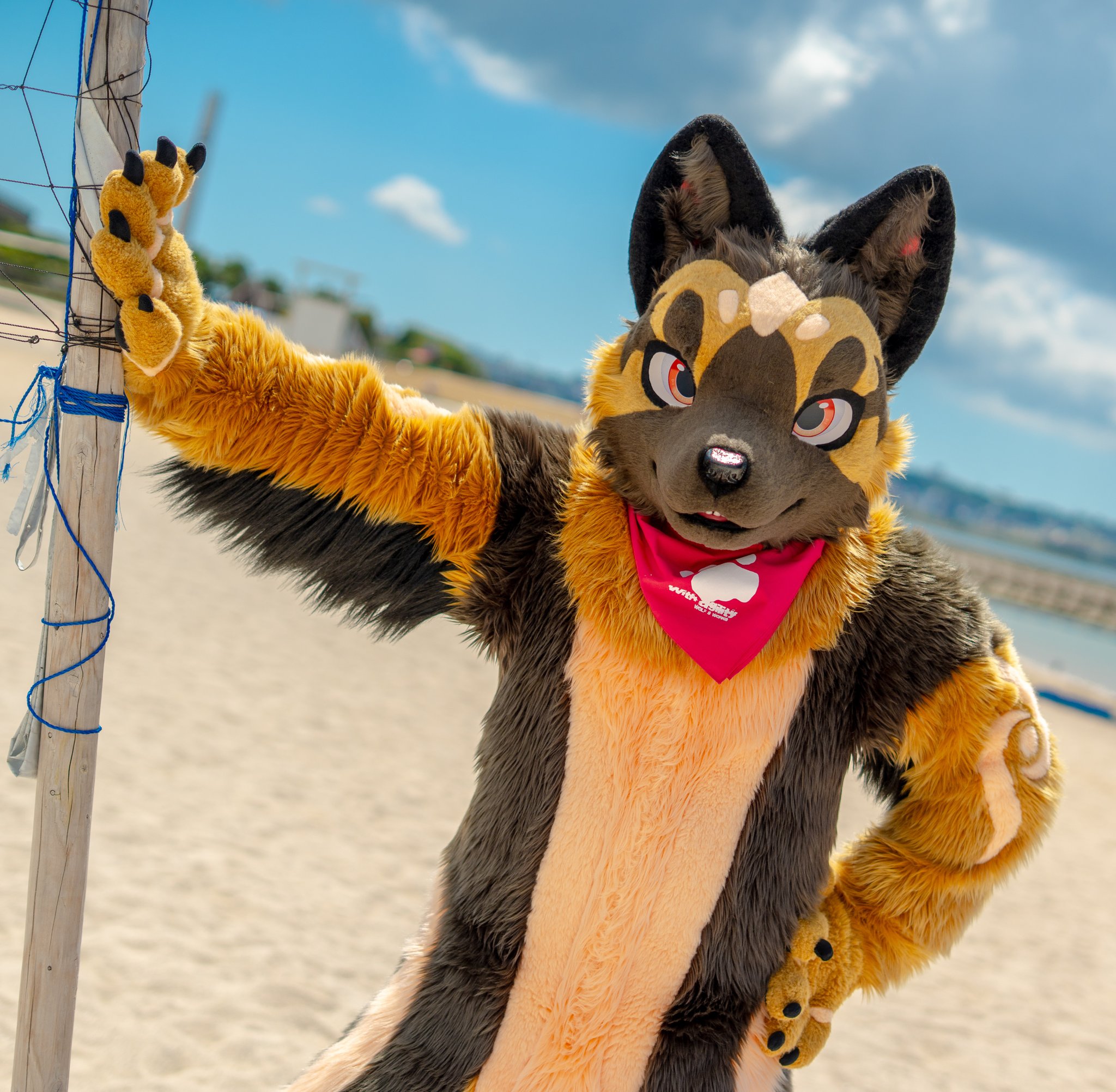 まさぽんページ まさぽん🐺 (@4800_mx) / X