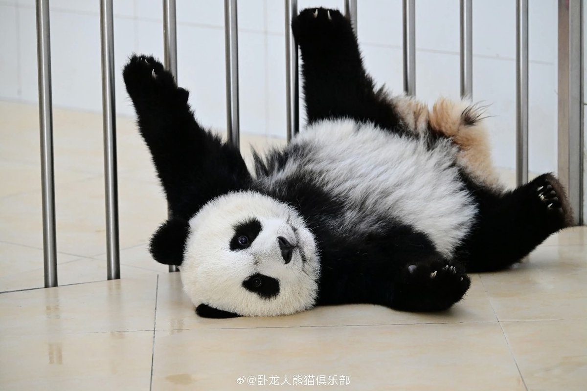 kate68_102's tweet image. Cute and handsome Xin Qiao