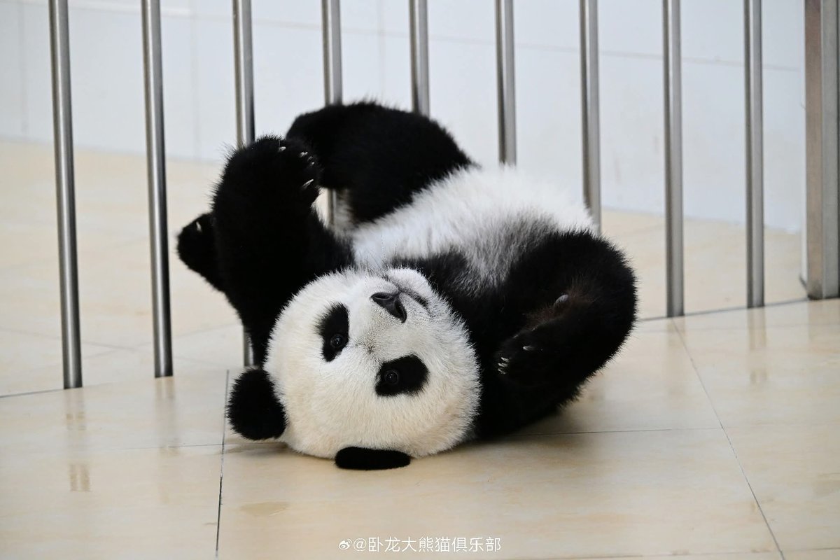 kate68_102's tweet image. Cute and handsome Xin Qiao